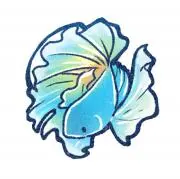 MARINEの画像