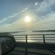 洋の画像