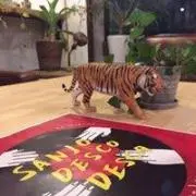ランチパック