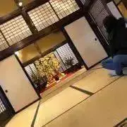 Chicchi⭐︎の画像