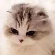 けむし♡神経質な方‪×コンビニ支払い×の画像