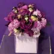 くっきー☆の画像