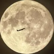 Oの画像
