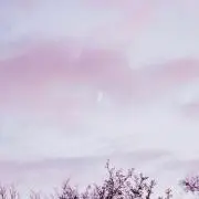 mimimiの画像