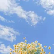 ららら(プロフィールよく見てね)の画像