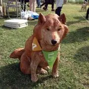 にしこ