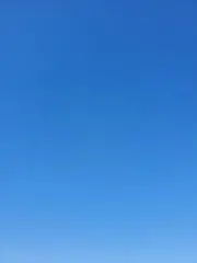 カラーの画像