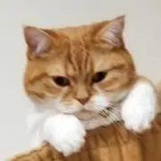 ポンプクモモハナの画像