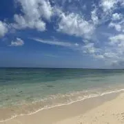 ゆうの画像