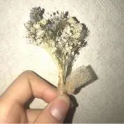 mの画像