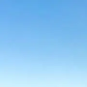 ちょこの画像