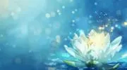 清水の画像