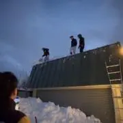 はとむぎの画像