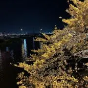 なっちまるの画像