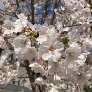ラッキー♪