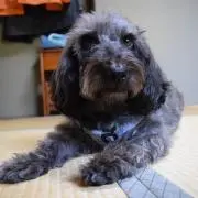 ZUUMINの画像