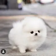 Mの画像