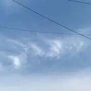 サラダオレンジ
