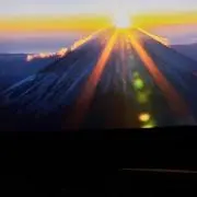 花ちゃんの画像