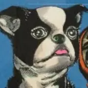 ☆まとめお得☆★フォロー割★NAPPY