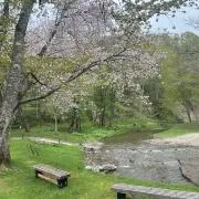 moの画像