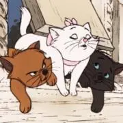 はるの画像