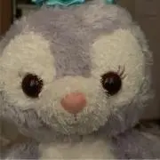 いさめ