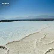 chanの画像