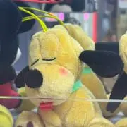 りいの引越しの画像