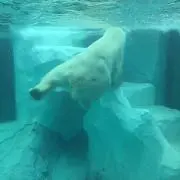 otの画像