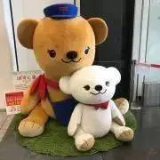 モモンガ桃吉の画像