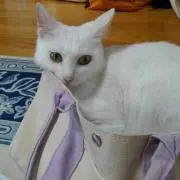 なな★プロフ必読の画像