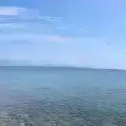 りん