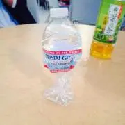 どえむちゃん