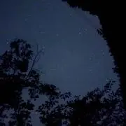なーの画像