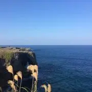 かーーず！
