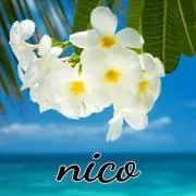♡nico♡の画像