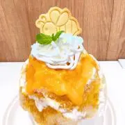 アロハの画像