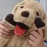 ぽてとの画像