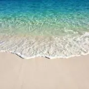 エルの画像