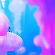 つぇるの画像