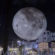 こひなの画像