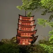 y.oの画像