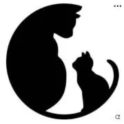 ポミー