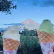 セキの画像