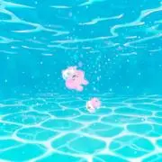 @いんこの画像