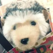 うみの画像