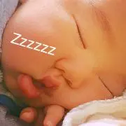 やうやう(๑•̀ㅂ•́)و✧