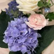 プー子の画像