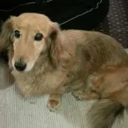 みえちゃん